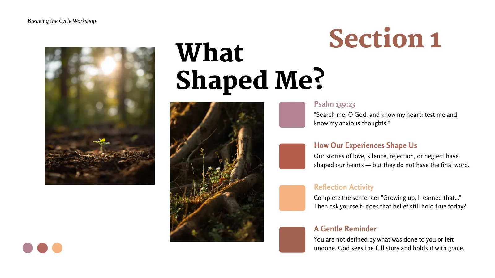 What Shaped Me?