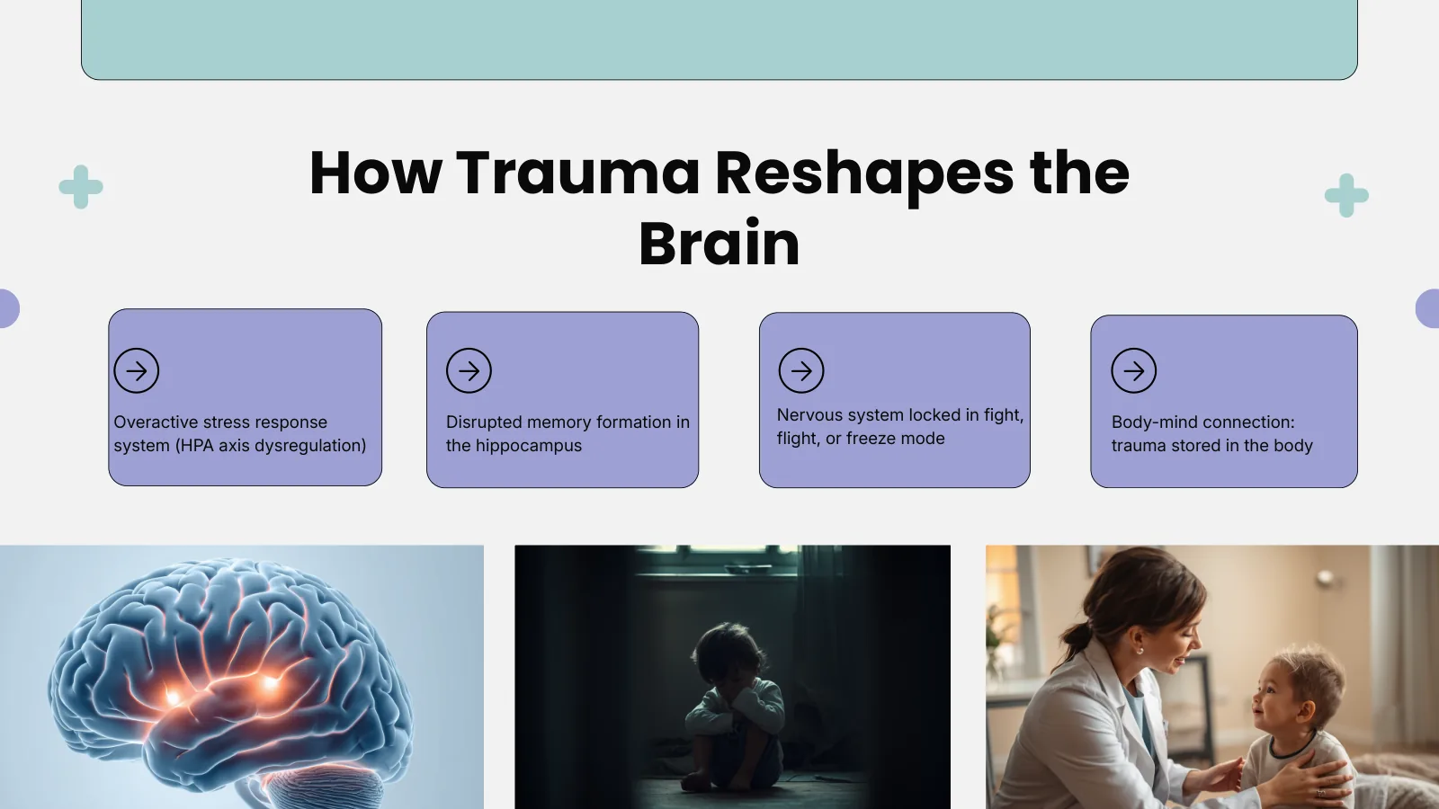 How Trauma Reshapes the Brain